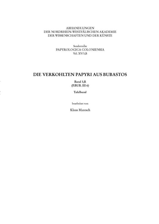 Produktbild: Die verkohlten Papyri aus Bubastos (P.Bub. III 6)