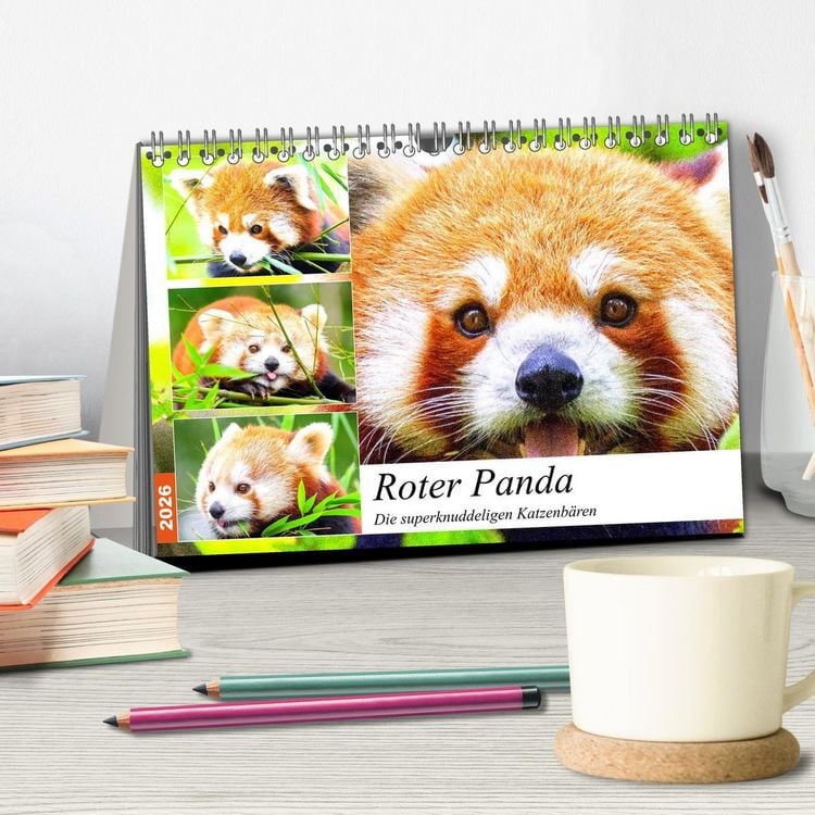 Produktbild: Roter Panda. Die superknuddeligen Katzenb&auml;ren (Tischkalender 2026 DIN A5 quer), CALVENDO Monatskalender