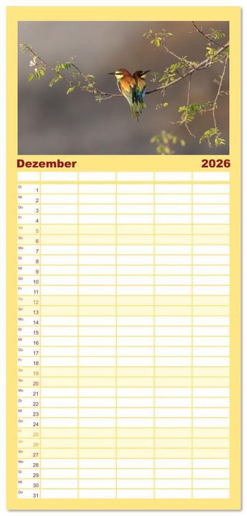 Produktbild: Familienplaner 2026 - Bunte Flieger mit 5 Spalten (Wandkalender, 21 x 45 cm) CALVENDO