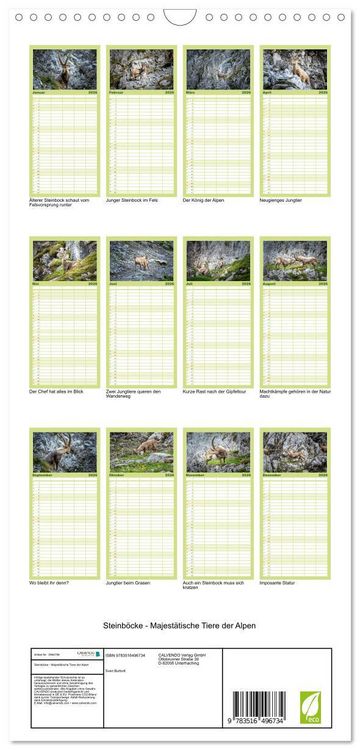 Produktbild: Familienplaner 2026 - Steinb&ouml;cke - Majest&auml;tische Tiere der Alpen mit 5 Spalten (Wandkalender, 21 x 45 cm) CALVENDO