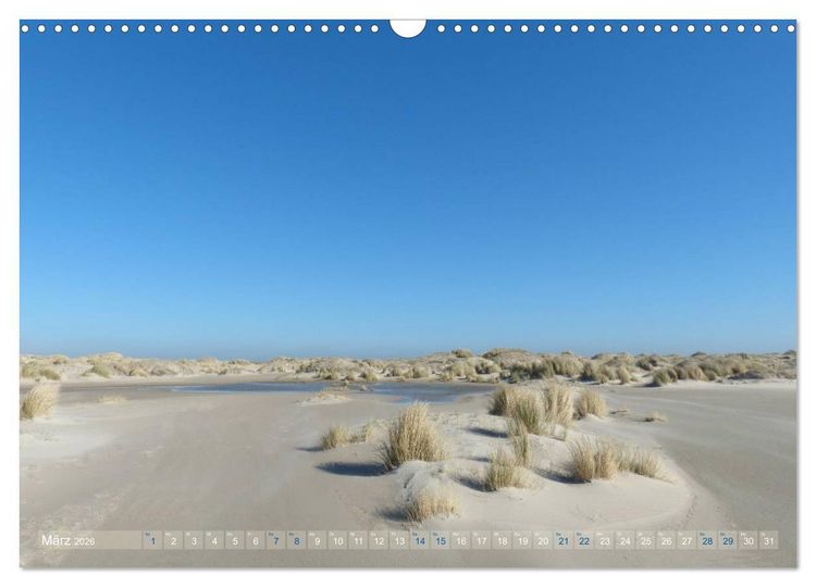 Produktbild: Texel. Neue D&uuml;nen (Wandkalender 2026 DIN A3 quer), CALVENDO Monatskalender