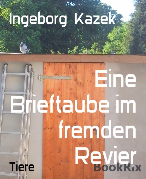 Produktbild: Eine Brieftaube im fremden Revier