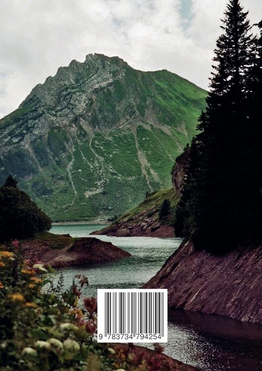 Produktbild: Into the wild