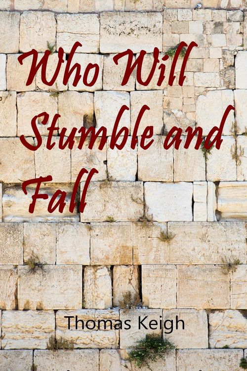 Produktbild: Who Will Stumble and Fall