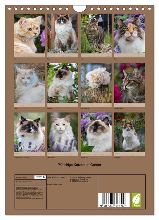 Produktbild: Pl&uuml;schige Katzen im Garten (Wandkalender 2026 DIN A4 hoch), CALVENDO Monatskalender