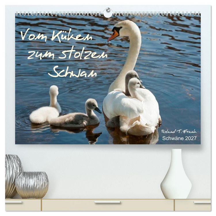 Produktbild: Vom K&uuml;ken zum stolzen Schwan (hochwertiger Premium Wandkalender 2027 DIN A2 quer), Kunstdruck in Hochglanz