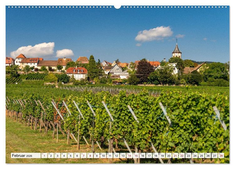 Produktbild: Die Els&auml;sser Weinstra&szlig;e (Wandkalender 2026 DIN A2 quer), CALVENDO Monatskalender