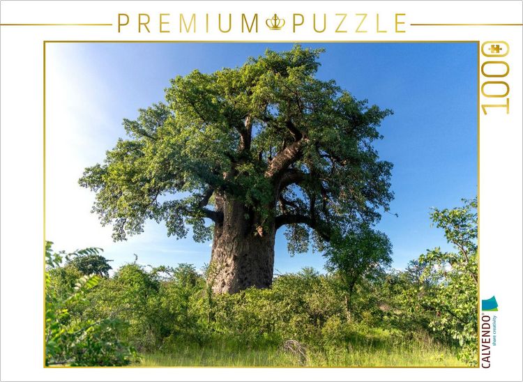 Produktbild: CALVENDO Puzzle Ein Baobabbaum mit pr&auml;chtiger Krone | 1000 Teile Lege-Gr&ouml;&szlig;e 64x48cm Foto-Puzzle f&uuml;r gl&uuml;ckliche Stunden