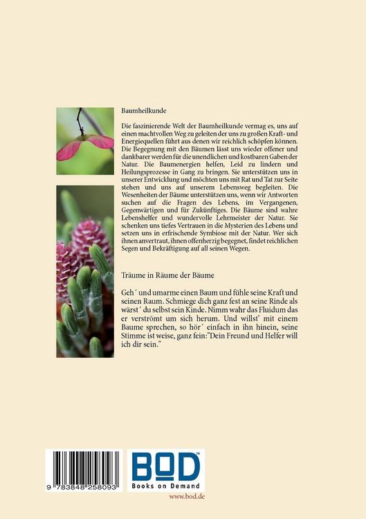 Produktbild: Tr&auml;ume in R&auml;ume der B&auml;ume