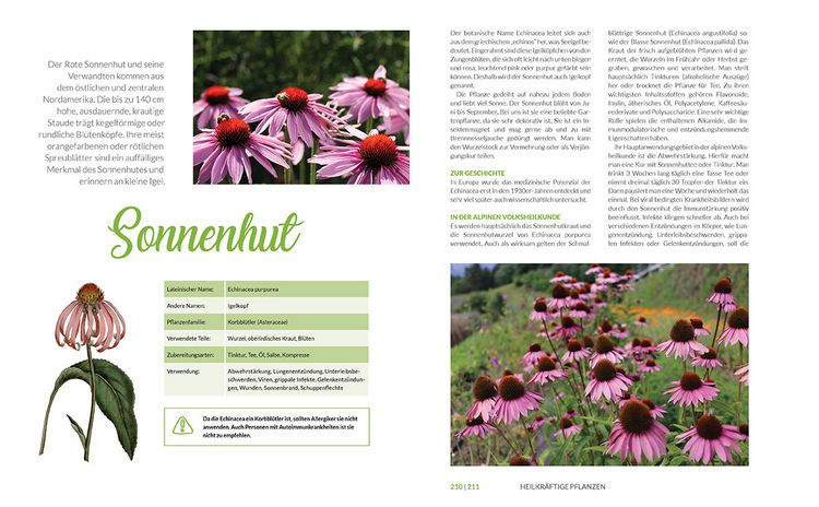 Produktbild: Heilkr&auml;uter aus den Alpen
