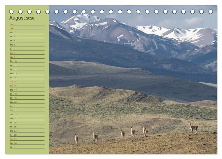 Produktbild: Wildlife S&uuml;damerika (Tischkalender 2026 DIN A5 quer), CALVENDO Monatskalender