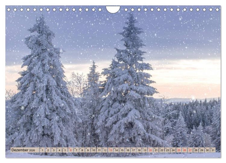 Produktbild: Leise durch den Wald. Sich Zeit nehmen und der Stille lauschen (Wandkalender 2026 DIN A4 quer), CALVENDO Monatskalender