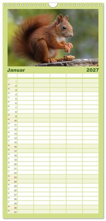 Produktbild: Familienplaner 2027 - Eichh&ouml;rnchen Kinder mit 5 Spalten (Wandkalender, 21 x 45 cm) CALVENDO