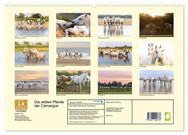 Produktbild: Die wilden Pferde der Camargue (hochwertiger Premium Wandkalender 2026 DIN A2 quer), Kunstdruck in Hochglanz