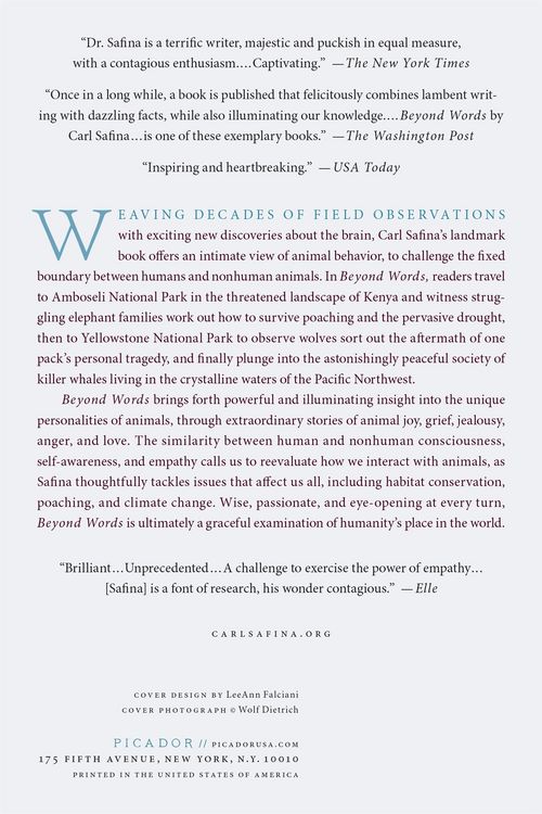 Produktbild: Beyond Words