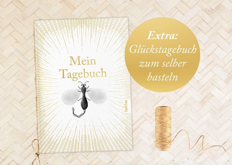 Produktbild: Aurora &ndash; Eine Eintagsfliege und der sch&ouml;nste Tag ihres Lebens