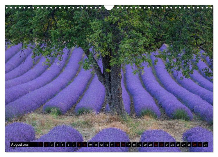 Produktbild: Provence im Rausch der Farben (Wandkalender 2026 DIN A3 quer), CALVENDO Monatskalender