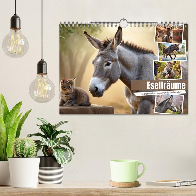 Produktbild: Eseltr&auml;ume (Wandkalender 2026 DIN A4 quer), CALVENDO Monatskalender
