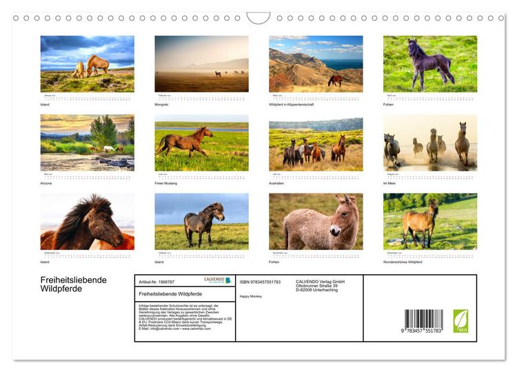 Produktbild: Freiheitsliebende Wildpferde (Wandkalender 2026 DIN A3 quer), CALVENDO Monatskalender