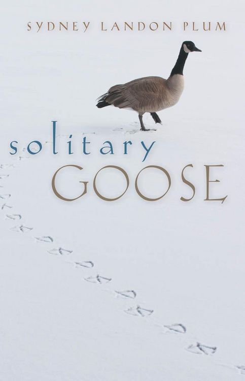 Produktbild: Solitary Goose
