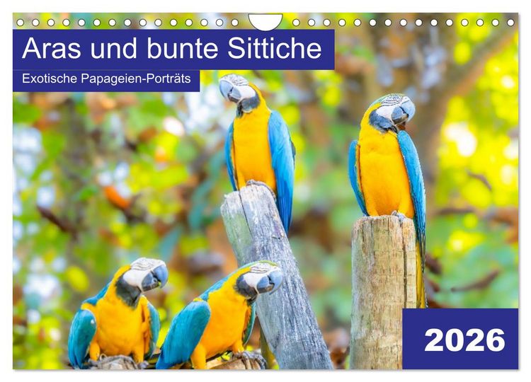 Produktbild: Aras und bunte Sittiche: Exotische Papageien-Portr&auml;ts (Wandkalender 2026 DIN A4 quer), CALVENDO Monatskalender