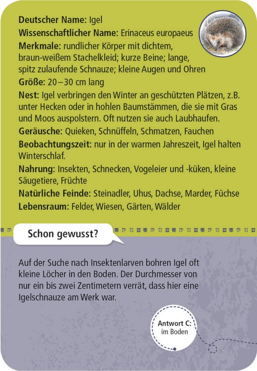 Produktbild: Expedition Natur 50 Tiere der Nacht