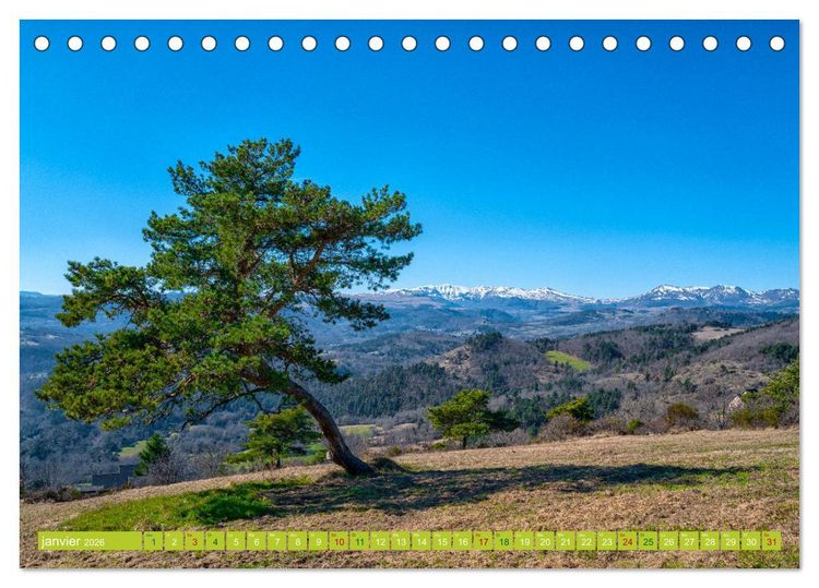 Produktbild: Solitude verdoyante (Calendrier de bureau 2026 DIN A5 vertical), CALVENDO calendrier mensuel