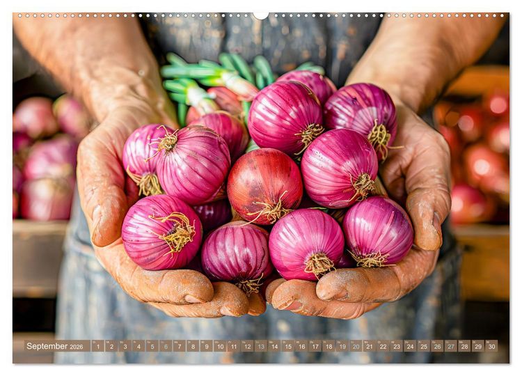 Produktbild: Mein Gem&uuml;segarten - Ein Jahr knackig frisches Gem&uuml;se (hochwertiger Premium Wandkalender 2026 DIN A2 quer), Kunstdruck in Hochglanz