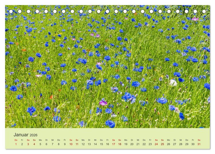 Produktbild: Wilde Blumen - ein Spaziergang durch die Natur (Tischkalender 2026 DIN A5 quer), CALVENDO Monatskalender