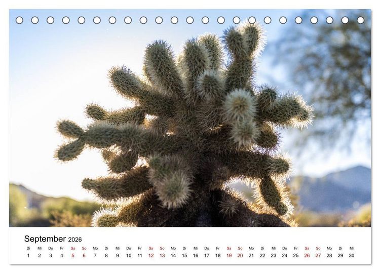 Produktbild: Naturparadiese zwischen Los Angeles und Las Vegas (Tischkalender 2026 DIN A5 quer), CALVENDO Monatskalender