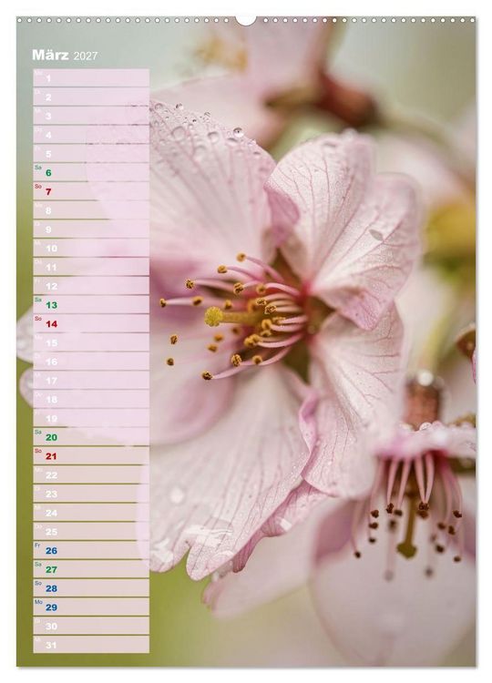 Produktbild: Bunte Augenblicke (hochwertiger Premium Wandkalender 2027 DIN A2 hoch), Kunstdruck in Hochglanz