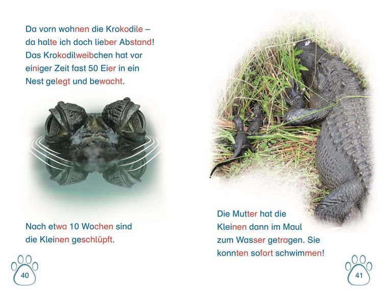 Produktbild: SUPERLESER! Nachwuchs bei uns im Zoo