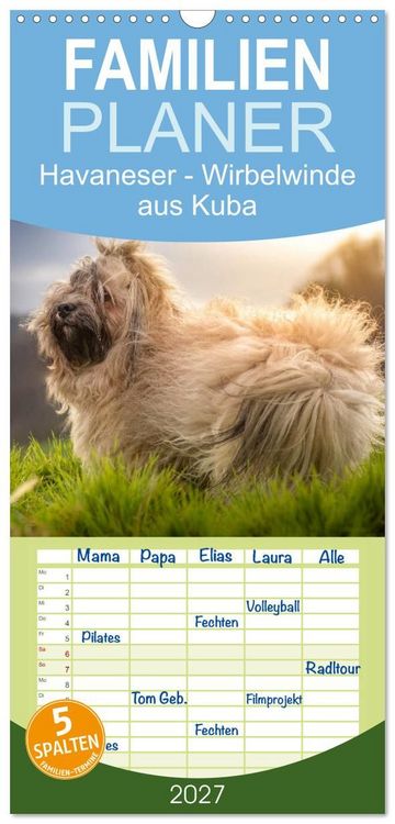 Produktbild: Familienplaner 2027 - Havaneser - Wirbelwinde aus Kuba mit 5 Spalten (Wandkalender, 21 x 45 cm) CALVENDO