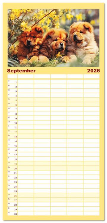 Produktbild: Familienplaner 2026 - Chow Chow Momente. Fellpoesie aus dem Reich der Mitte mit 5 Spalten (Wandkalender, 21 x 45 cm) CALVENDO