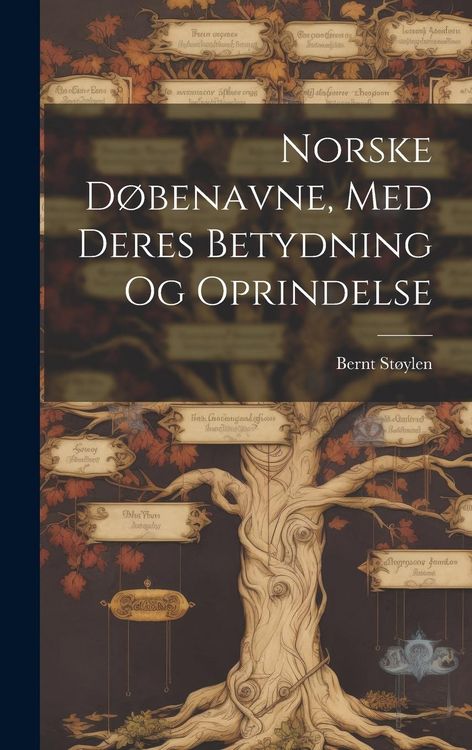 Produktbild: Norske D&oslash;benavne, Med Deres Betydning Og Oprindelse