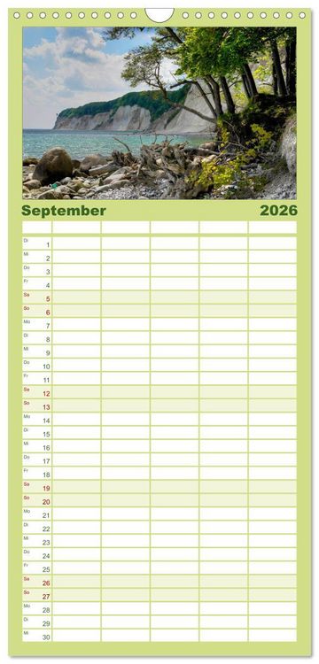 Produktbild: Familienplaner 2026 - Baum-Variationen mit 5 Spalten (Wandkalender, 21 x 45 cm) CALVENDO