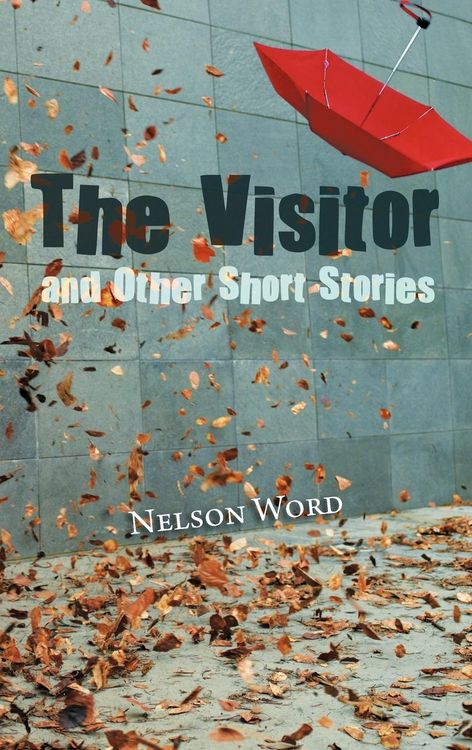 Produktbild: The Visitor and Other Short Stories
