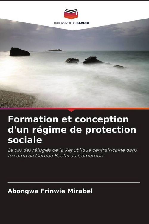 Produktbild: Formation et conception d'un r&eacute;gime de protection sociale