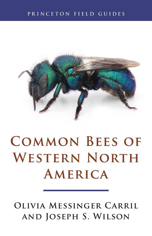 Produktbild: Common Bees of Western North America