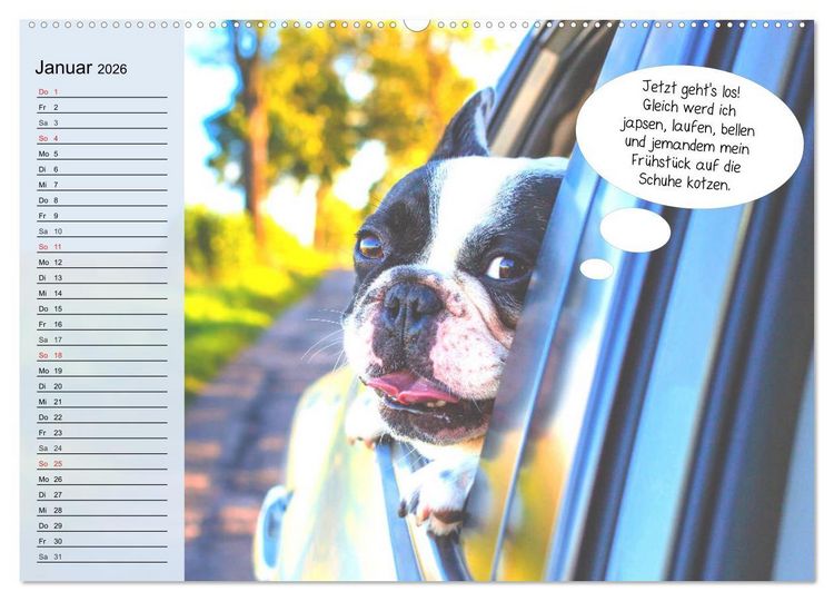 Produktbild: Hurra! Wir gehen Gassi! Abenteuer mit dem Hund! (Wandkalender 2026 DIN A2 quer), CALVENDO Monatskalender