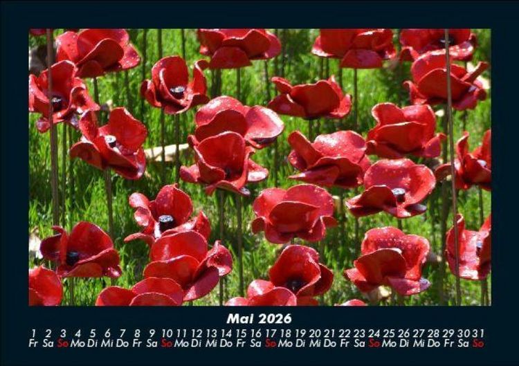 Produktbild: Blumenkalender 2026 Fotokalender DIN A5