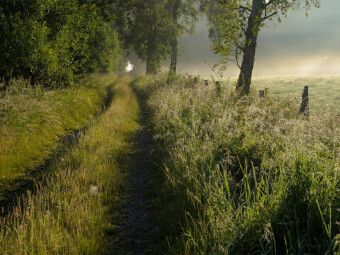 Produktbild: CALVENDO Puzzle Feldweg am fr&uuml;hen Morgen | 1000 Teile Lege-Gr&ouml;&szlig;e 64x48cm Foto-Puzzle f&uuml;r gl&uuml;ckliche Stunden