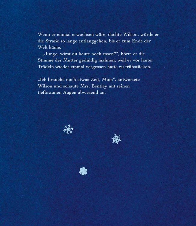 Produktbild: Der Schneeflockensammler