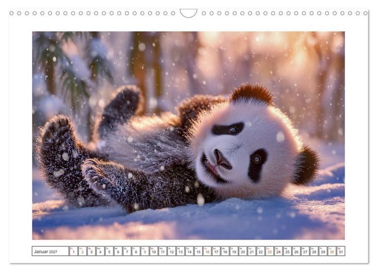 Produktbild: Panda Magie (Wandkalender 2027 DIN A3 quer), CALVENDO Monatskalender