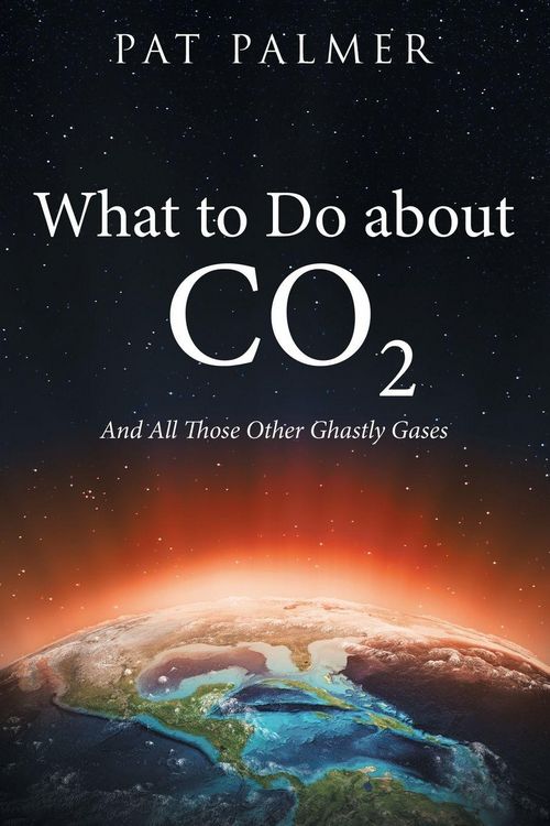Produktbild: What to Do About Co2