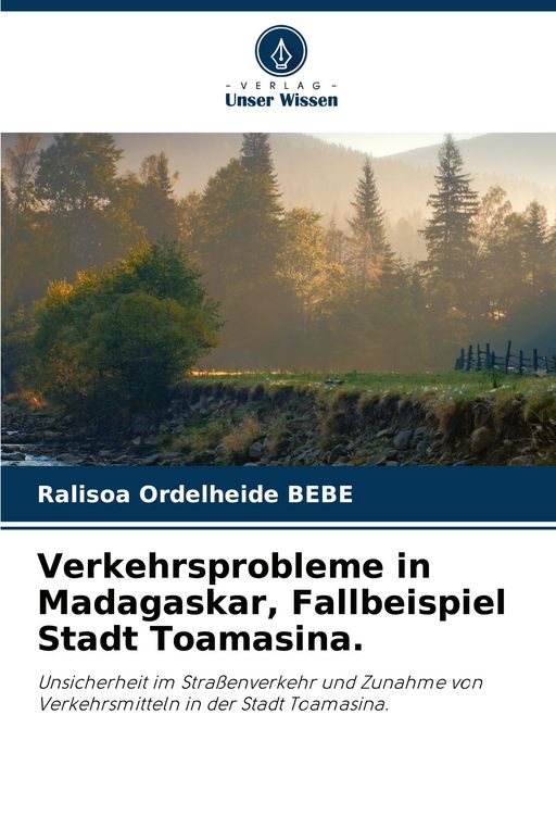 Produktbild: Verkehrsprobleme in Madagaskar, Fallbeispiel Stadt Toamasina.