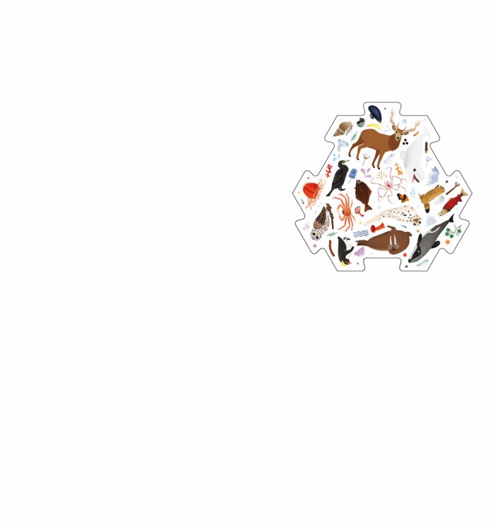 Produktbild: Erste*r sein! Eis