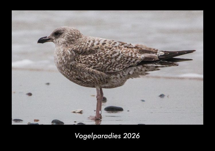 Produktbild: Vogelparadies 2026 Fotokalender DIN A3
