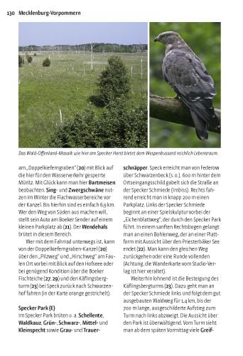 Produktbild: V&ouml;gel beobachten in Ostdeutschland