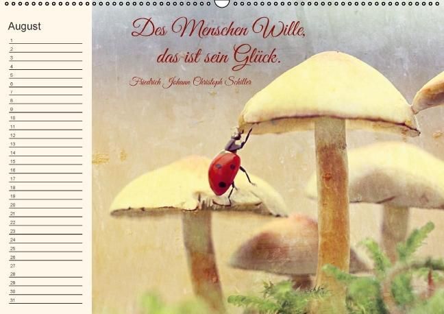 Produktbild: Spruchreifer Geburtstagskalender (Wandkalender immerw&auml;hrend DIN A2 quer)